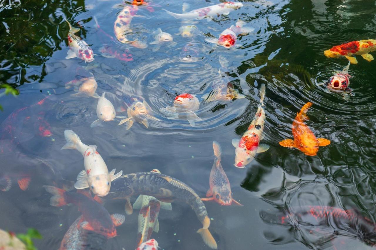 Villa Hotel Du Thuyen Dalat Eksteriør bilde