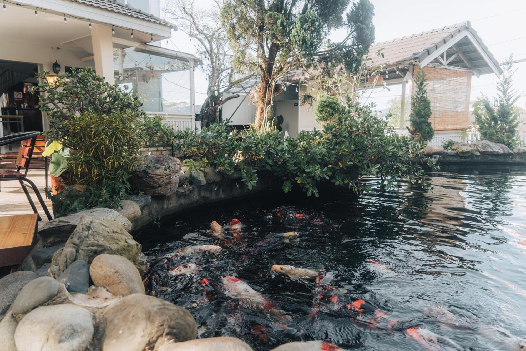 Villa Hotel Du Thuyen Dalat Eksteriør bilde